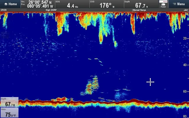 Raymarine CP470 CHIRP Sonar Module