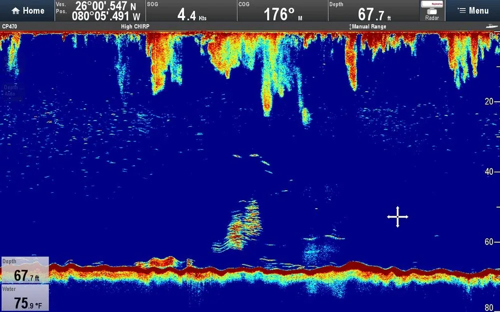 Raymarine CP470 CHIRP Sonar Module